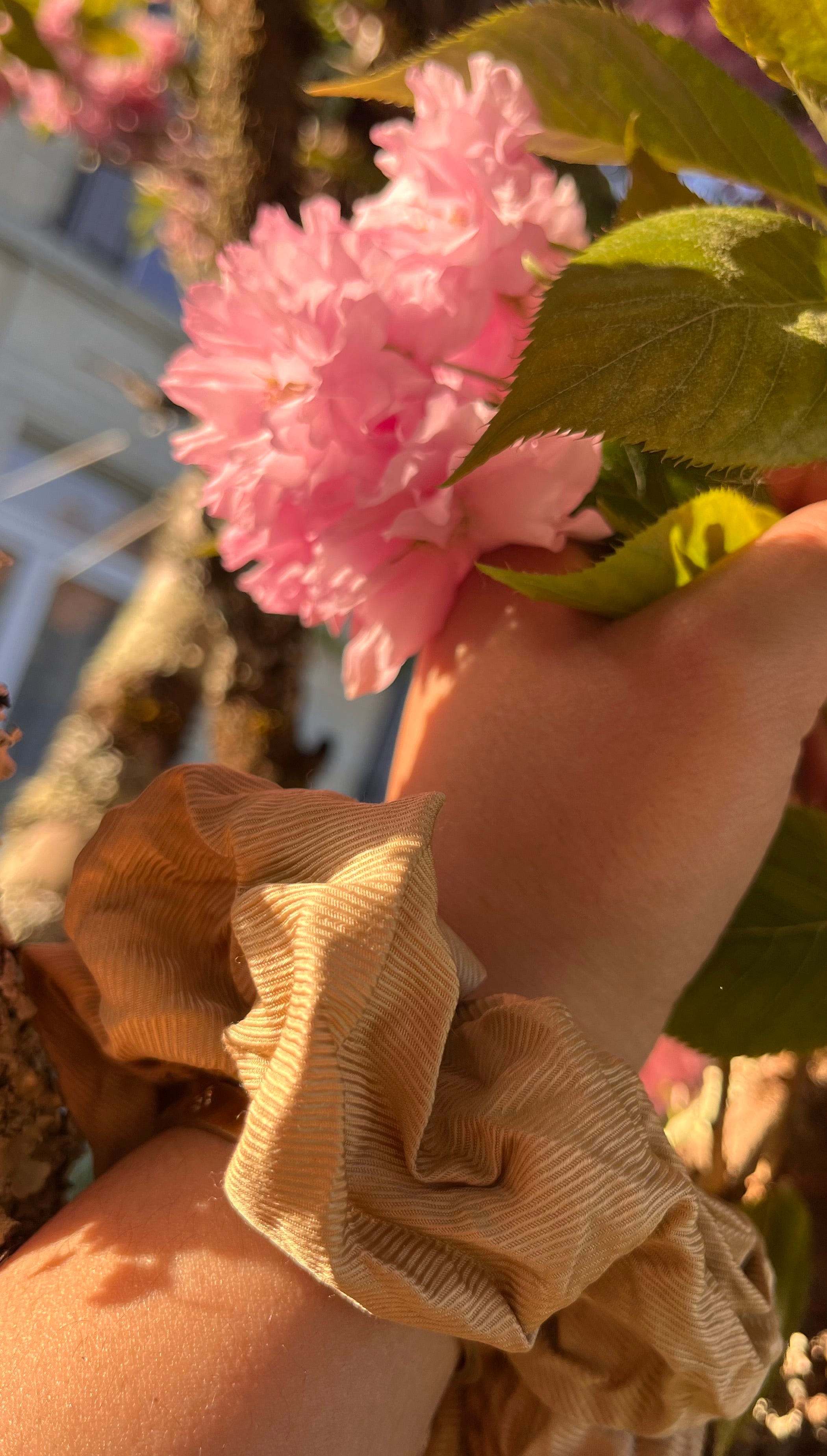 CHOUCHOU 100% SOIE DE MURIER  Beige Vanille